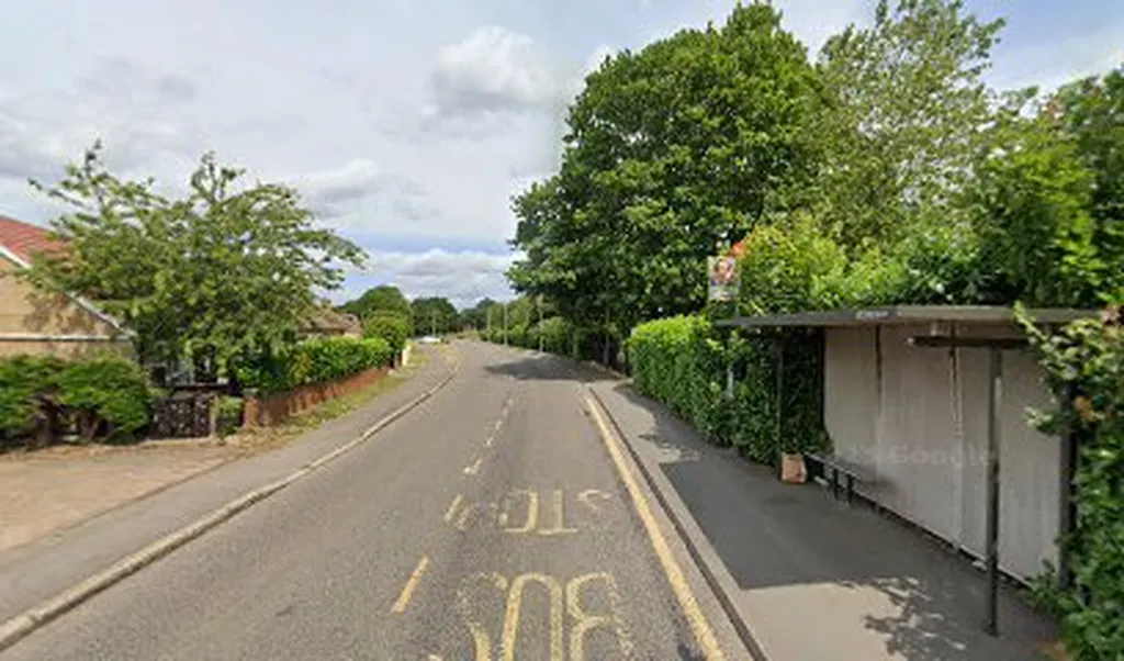 Green Lane (Stop XL)