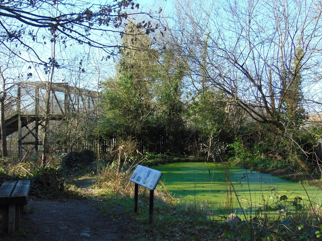 Grove Park Nature Reserve