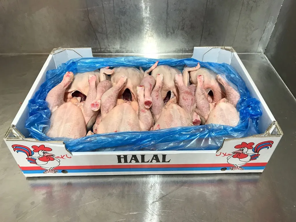 H&M Best Meat