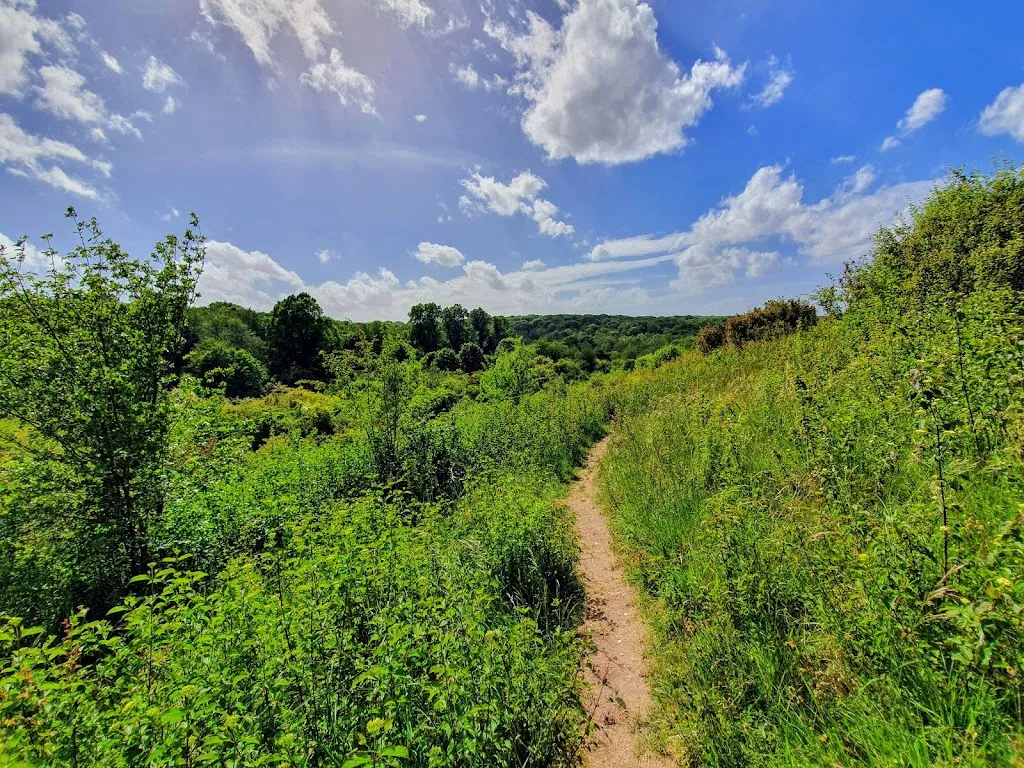 Hutchinson's Bank
