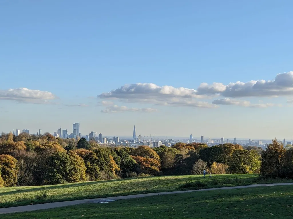 Kenwood Viewpoint