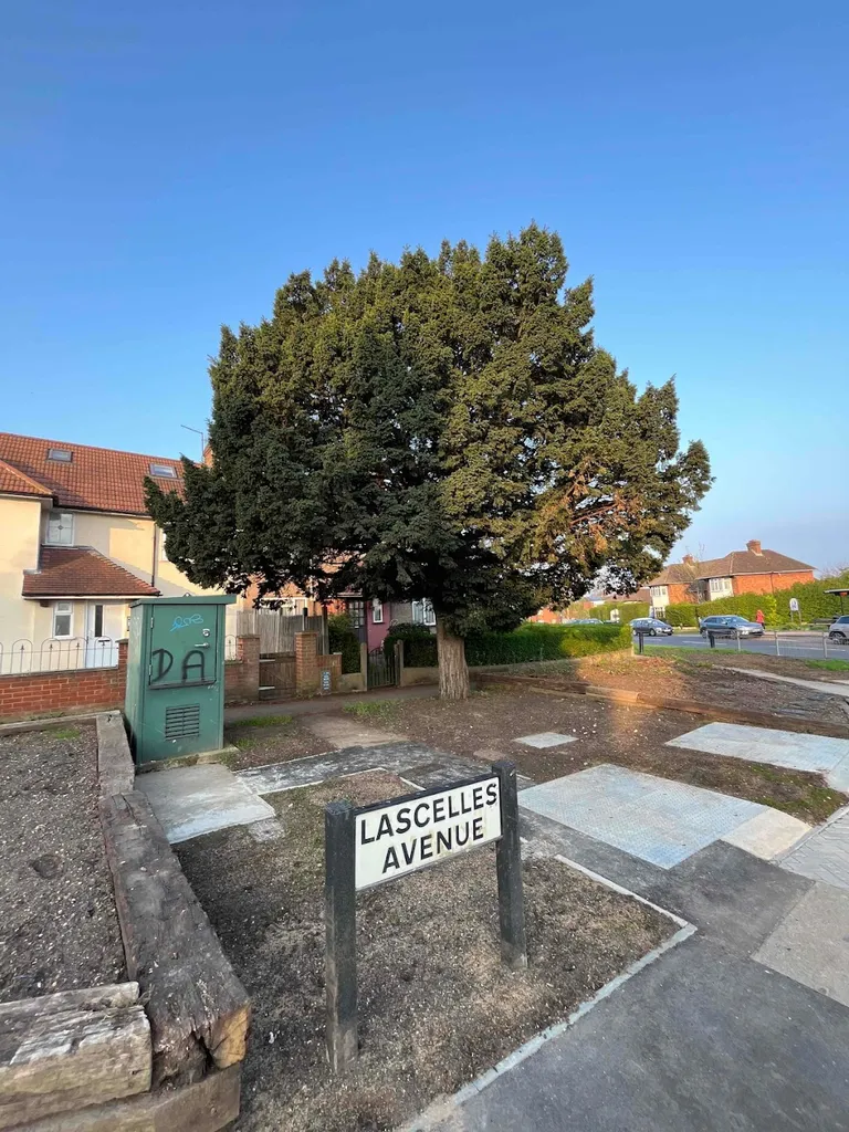 Lascelles Avenue (Stop WX)