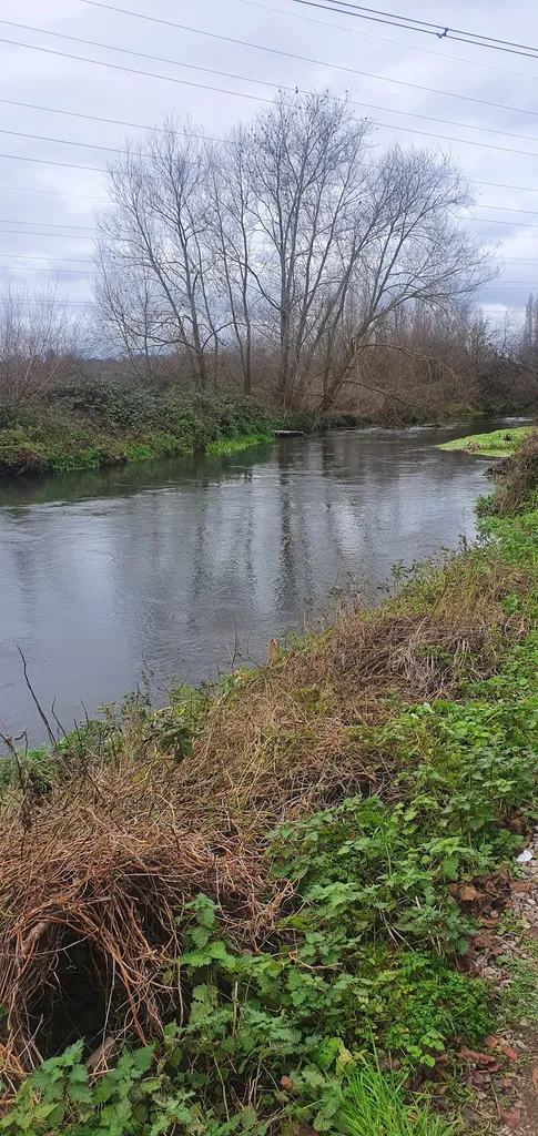 London Loop