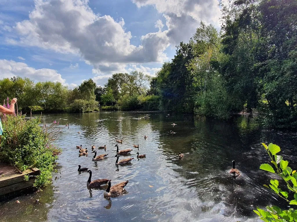 Millers Pond