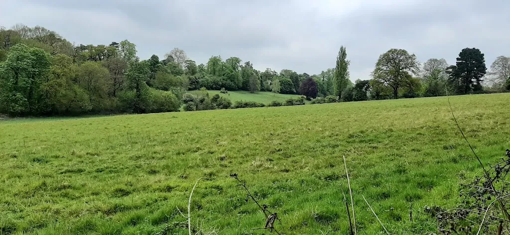 National Trust - Petts Wood and Hawkwood