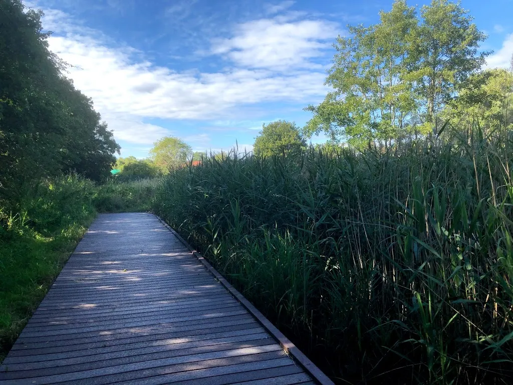 Newton Farm Ecology Park