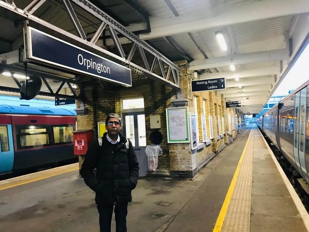 Orpington