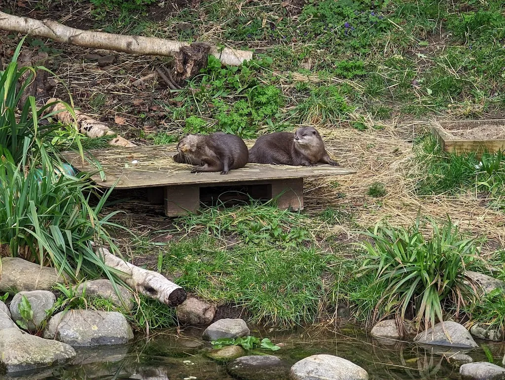 Otter Enclosure
