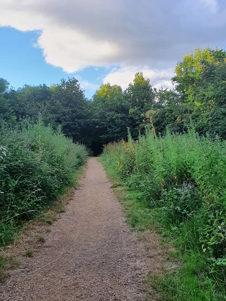 Philpot's Farm Open Space