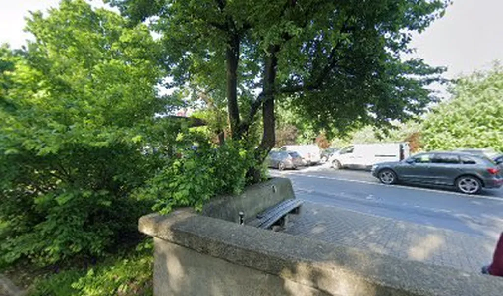 Putney Hill / Green Man (Stop R)