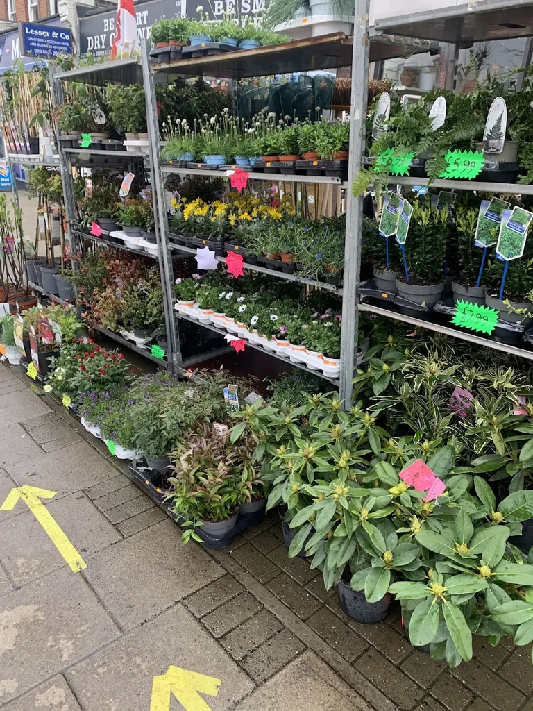 Regal Homes & Gardens