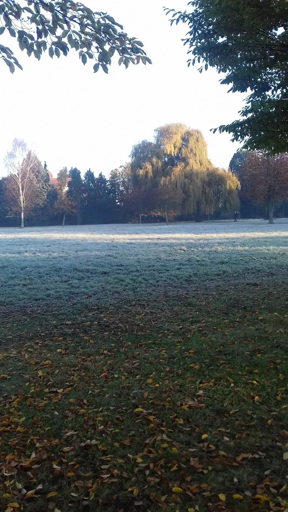 Roe Green Park (Stop A)
