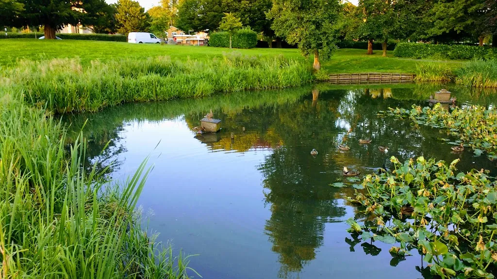 Sanderstead Pond