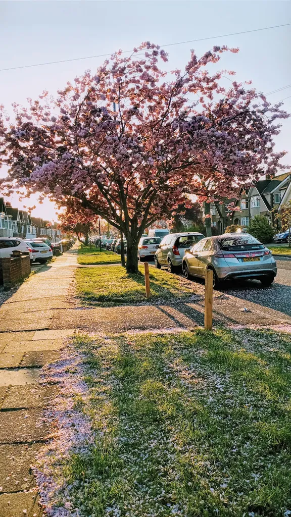 Somervell Road