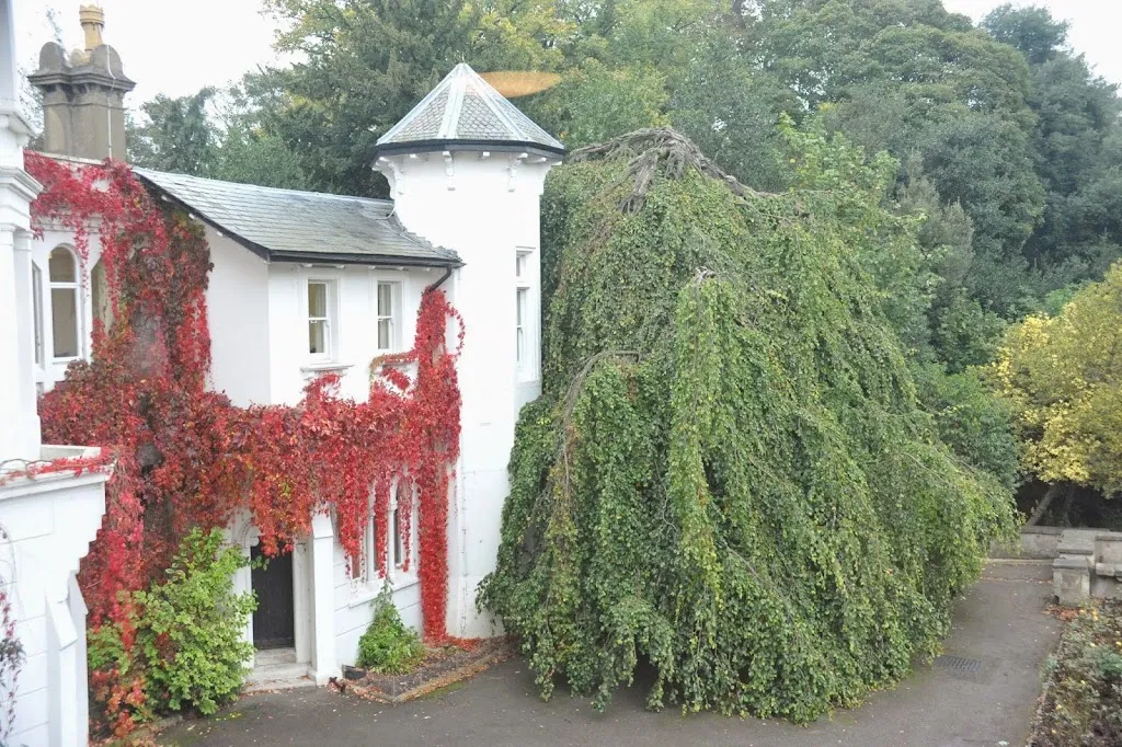 Stephens House & Gardens