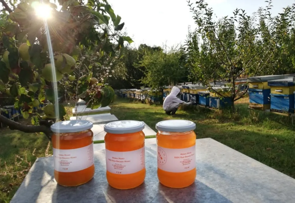 Sunnah Honey - 100% Raw Organic Honey