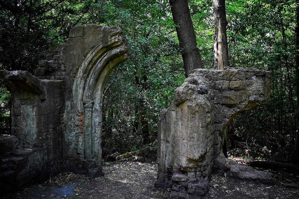 Sydenham Hill Wood