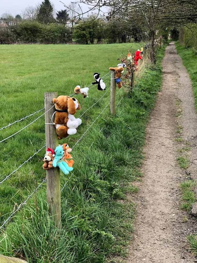 Teddy Bear Walk