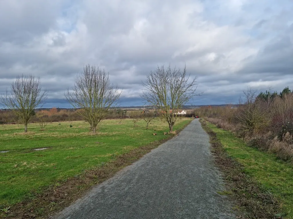 Thames Chase Forest Centre