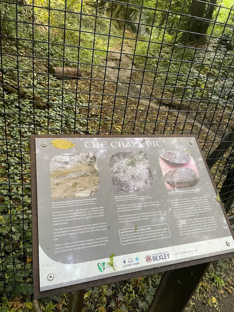 The chalk pit