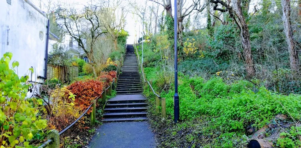The Slade Ravine