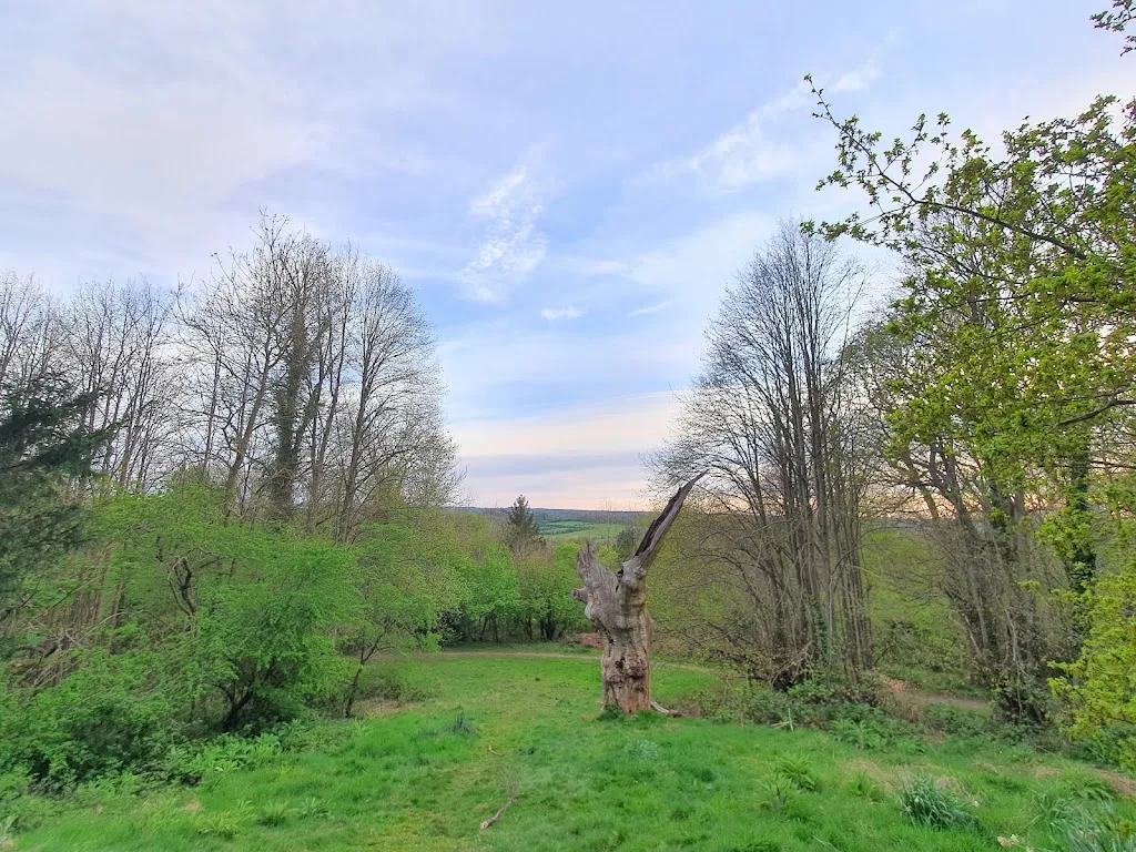 The Wilberforce Oak & Seat