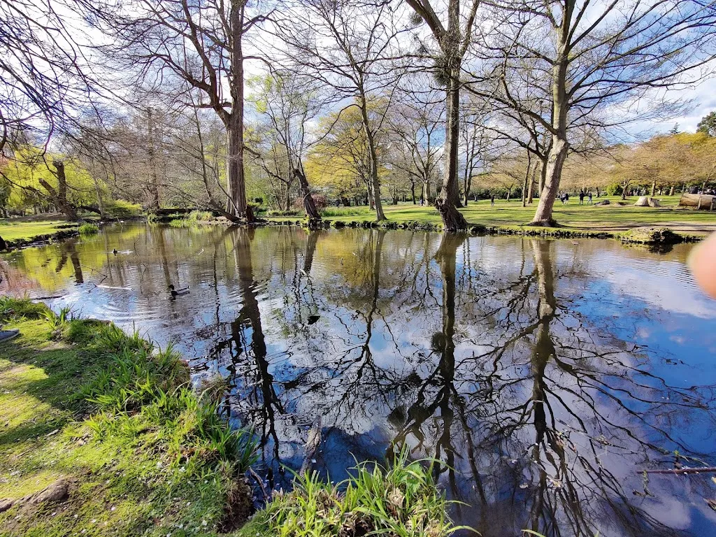 The Woodland Gardens