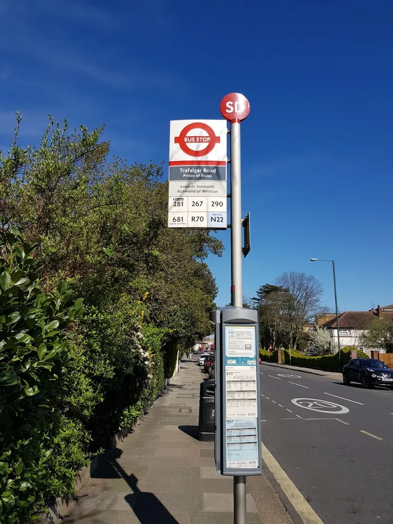 Trafalgar Rd Prince Of Wales (Stop SD)