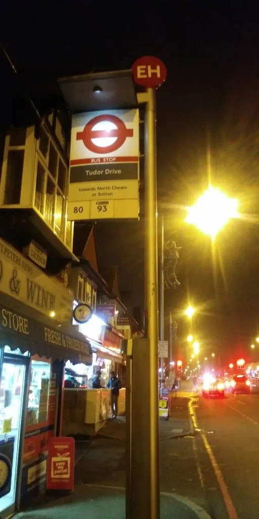 Tudor Drive (Stop EH)