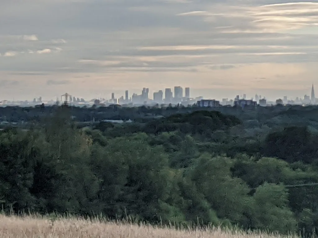 Tylers Common