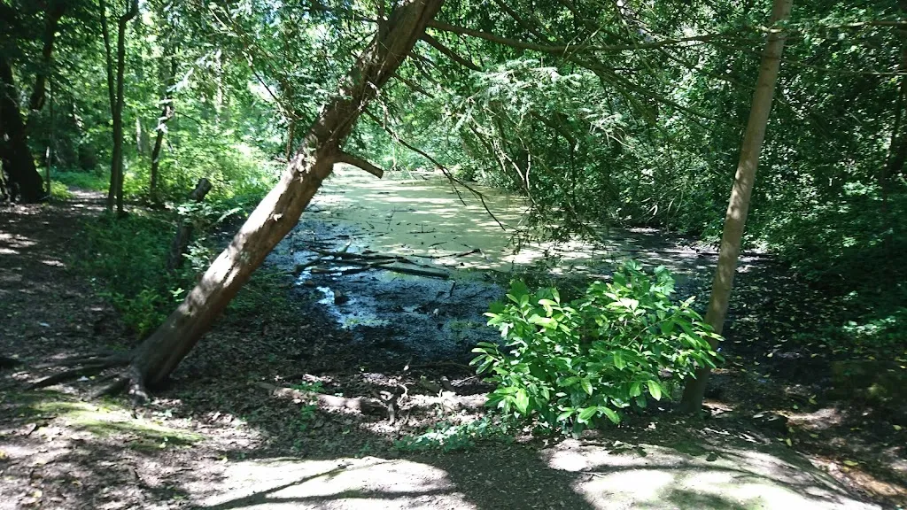 Uxbridge Grove Nature Reserve