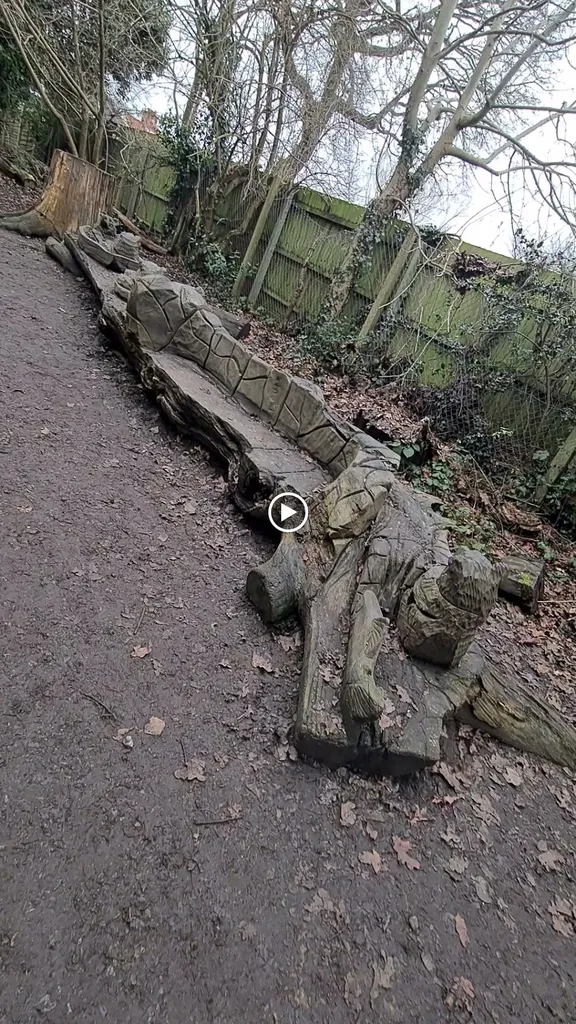 Walden Woods