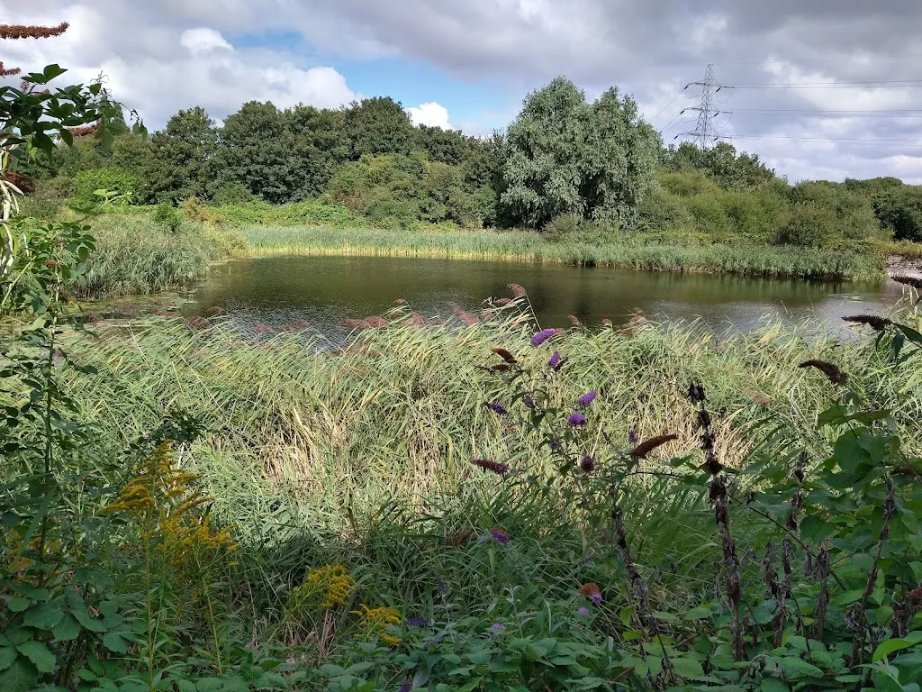 WaterWorks Centre Nature Reserve & Middlesex Filter Beds