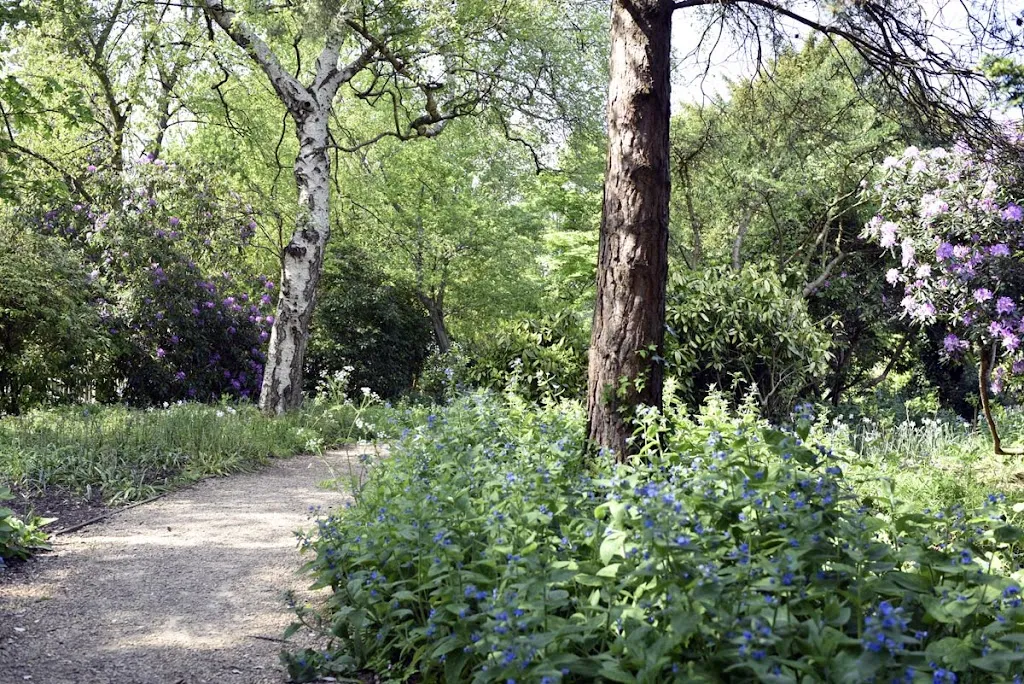 Whitestone Garden