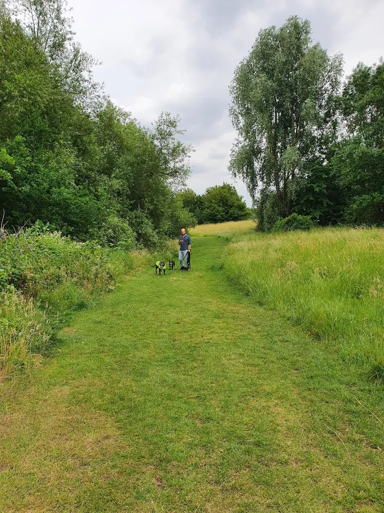 Whitings Hill Open Space