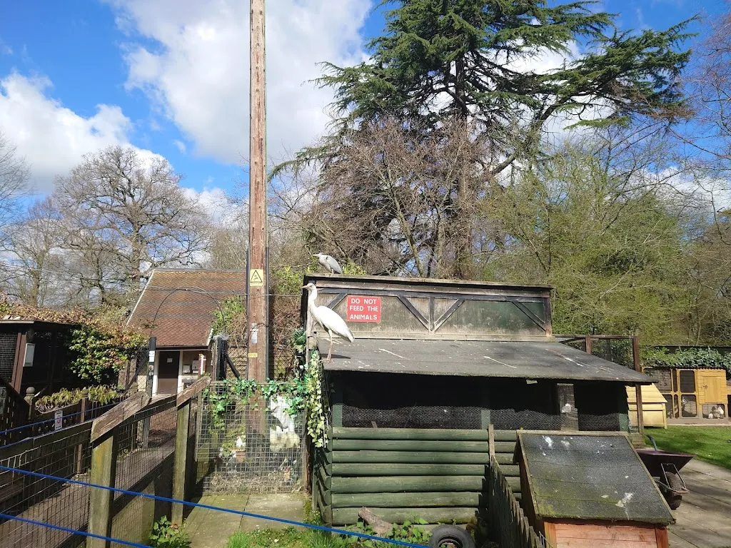 Wildlife Rescue & Ambulance Service (Enfield)
