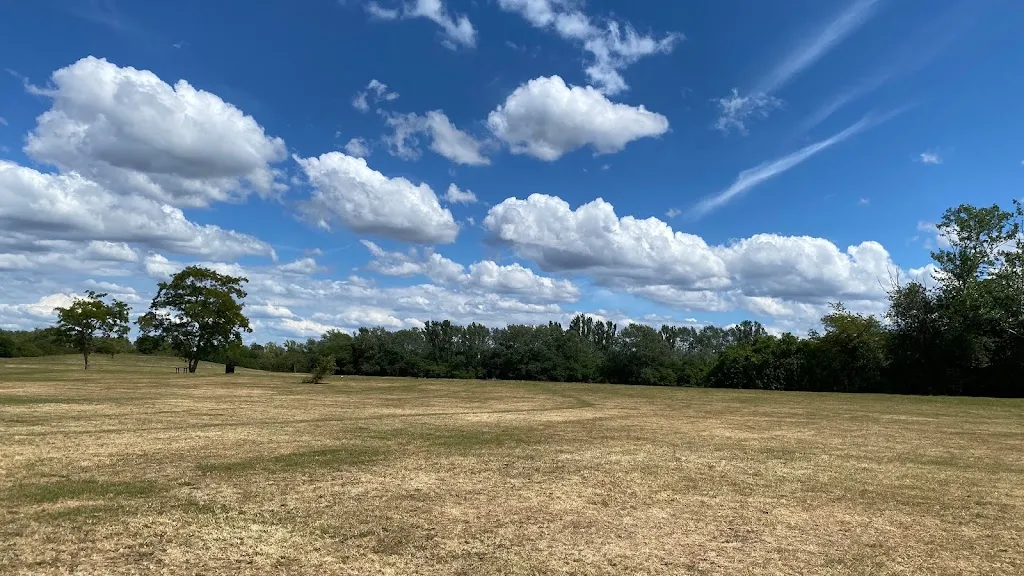 Willow Tree Open Space
