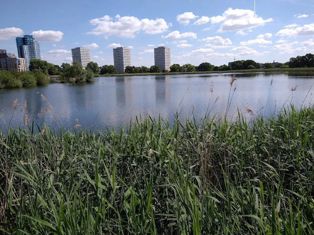Woodberry Wetlands, London Wildlife Trust