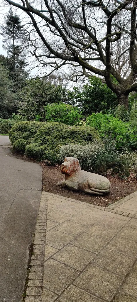 Wooden statue of a dog