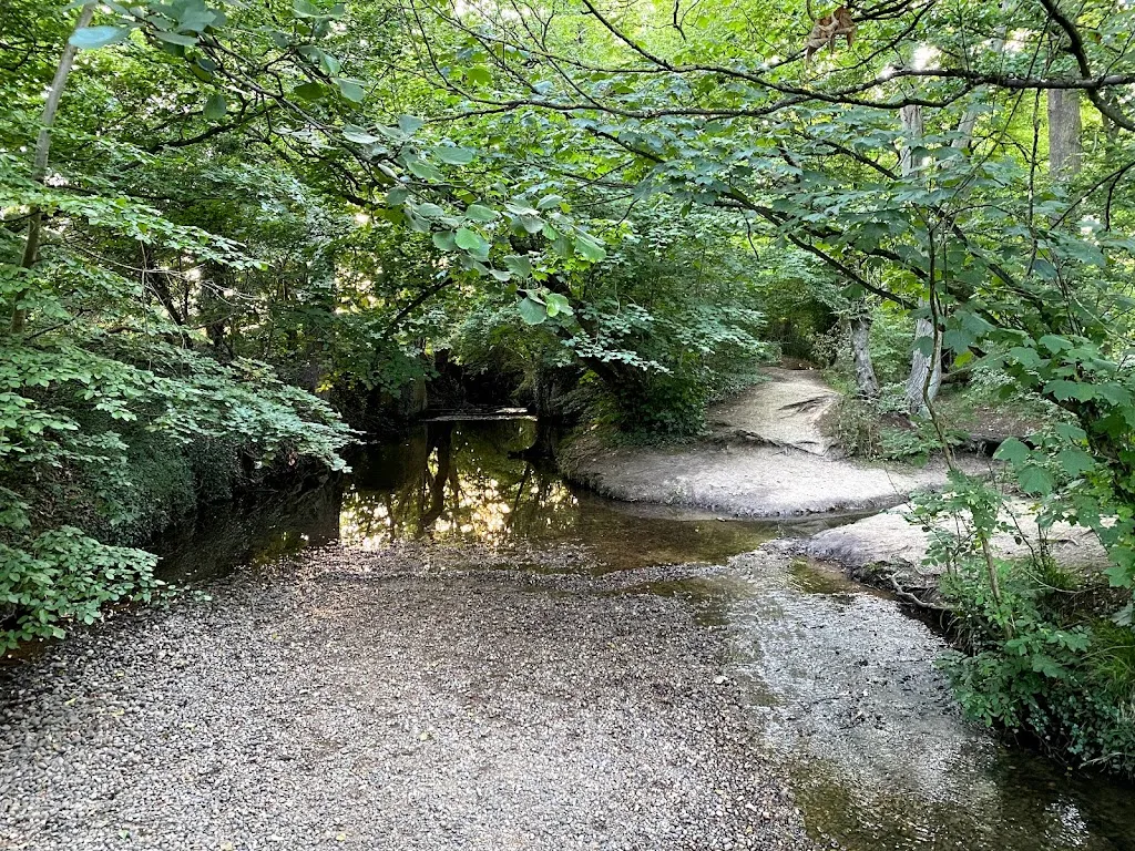 Woodlands Lake