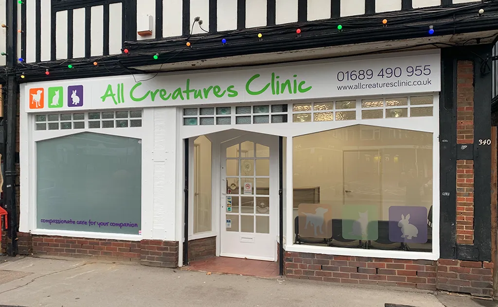 All Creatures Clinic
