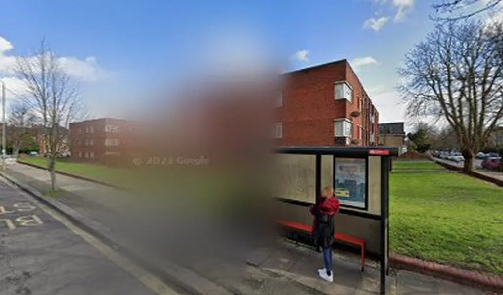 Anerley / The Mitre (Stop M)
