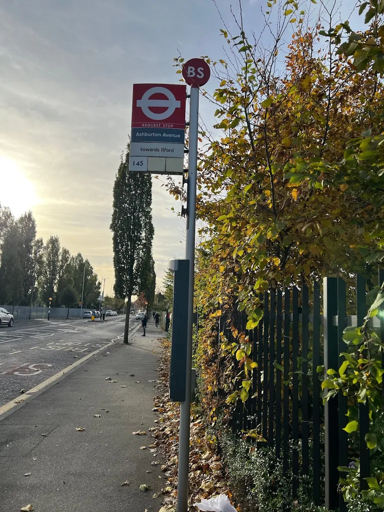 Ashburton Avenue (Stop BS)
