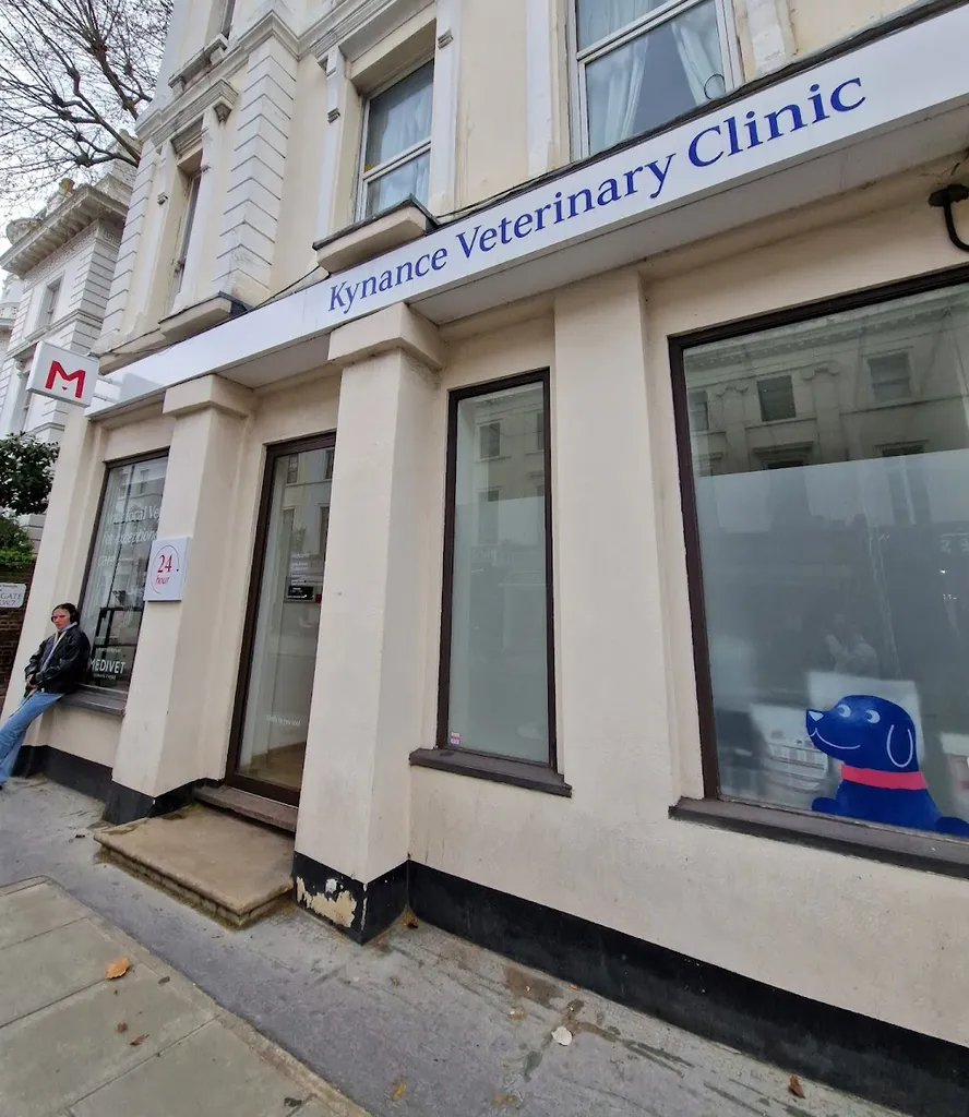 At Kynance Veterinary Clinic