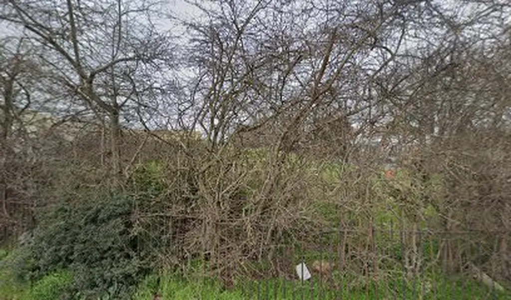 Baynes Close (Stop C)