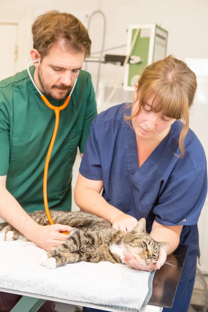 Blackheath Veterinary Surgery