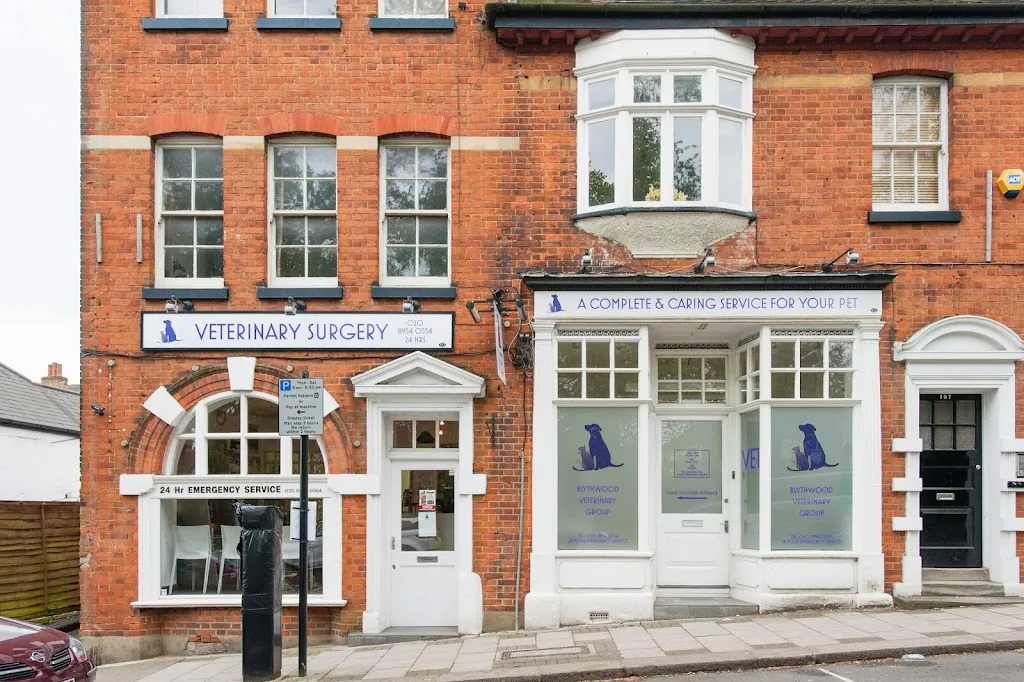 Blythwood Vets - Stanmore