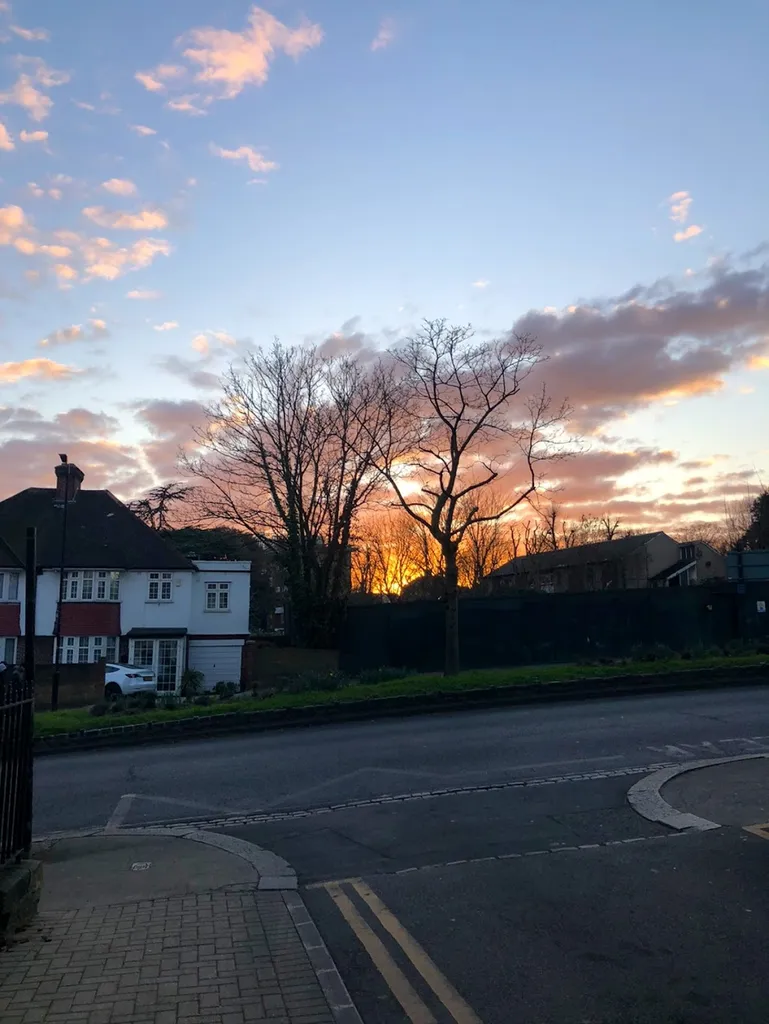 Champion Hill (Stop F) 1 Champion Hill (Stop F)