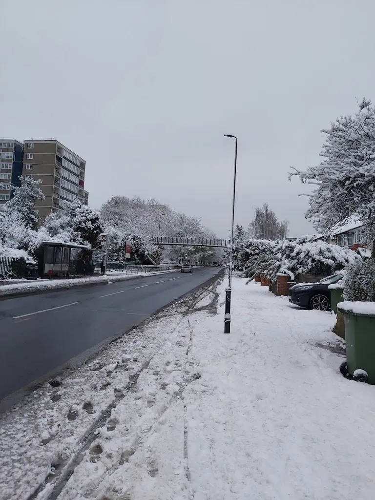Charlton Park Lane