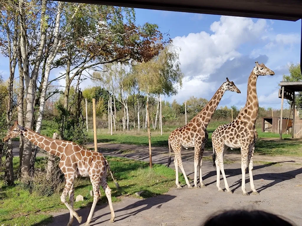 Chessington Zoo